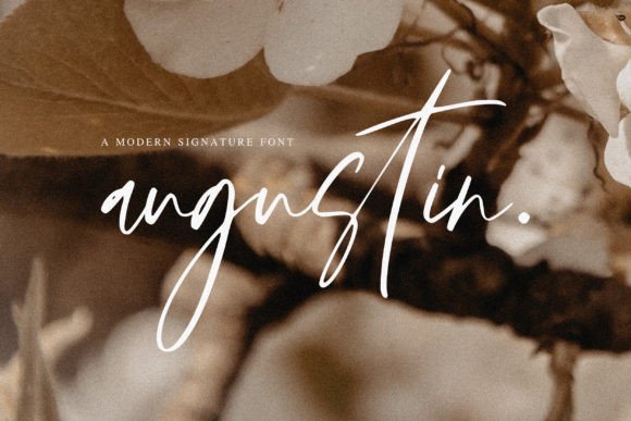 Augustin Font Review: Elevating Campaign Visuals with Script Handwritten Style