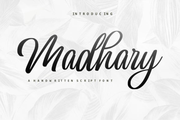 Madhary Font: The Chic Typeface for Elegant Branding