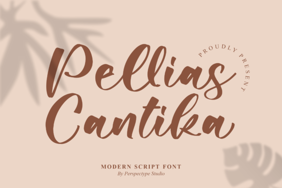 Pellias Cantika: A Modern Script Font for Elegant Branding