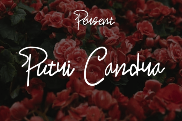 Putri Candra: The Modern Script Font for Luxury Branding