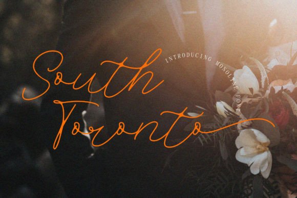 South Toronto: A Slim Script Font for Modern Branding